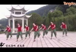 广场舞视频大全,视频大全精彩回顾