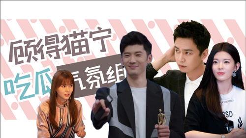 综艺小说多集娱乐圈吃瓜