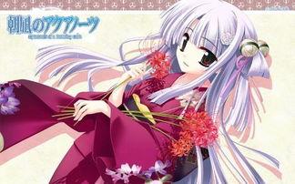 找动漫,探寻经典与创新的魅力