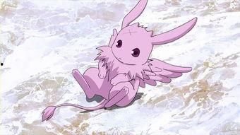 动漫里的宠物名字,动漫中的那些可爱名字背后的故事